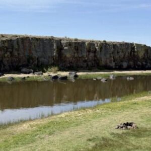 0.27 acres in Antonito, CO (Costilla County) - APN 71615910 Lot 268